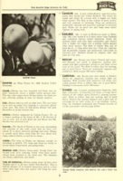 Flickr image:Planting guide - Page 5